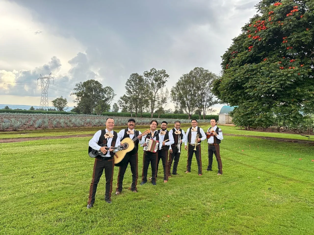 Los Ajua en vivo