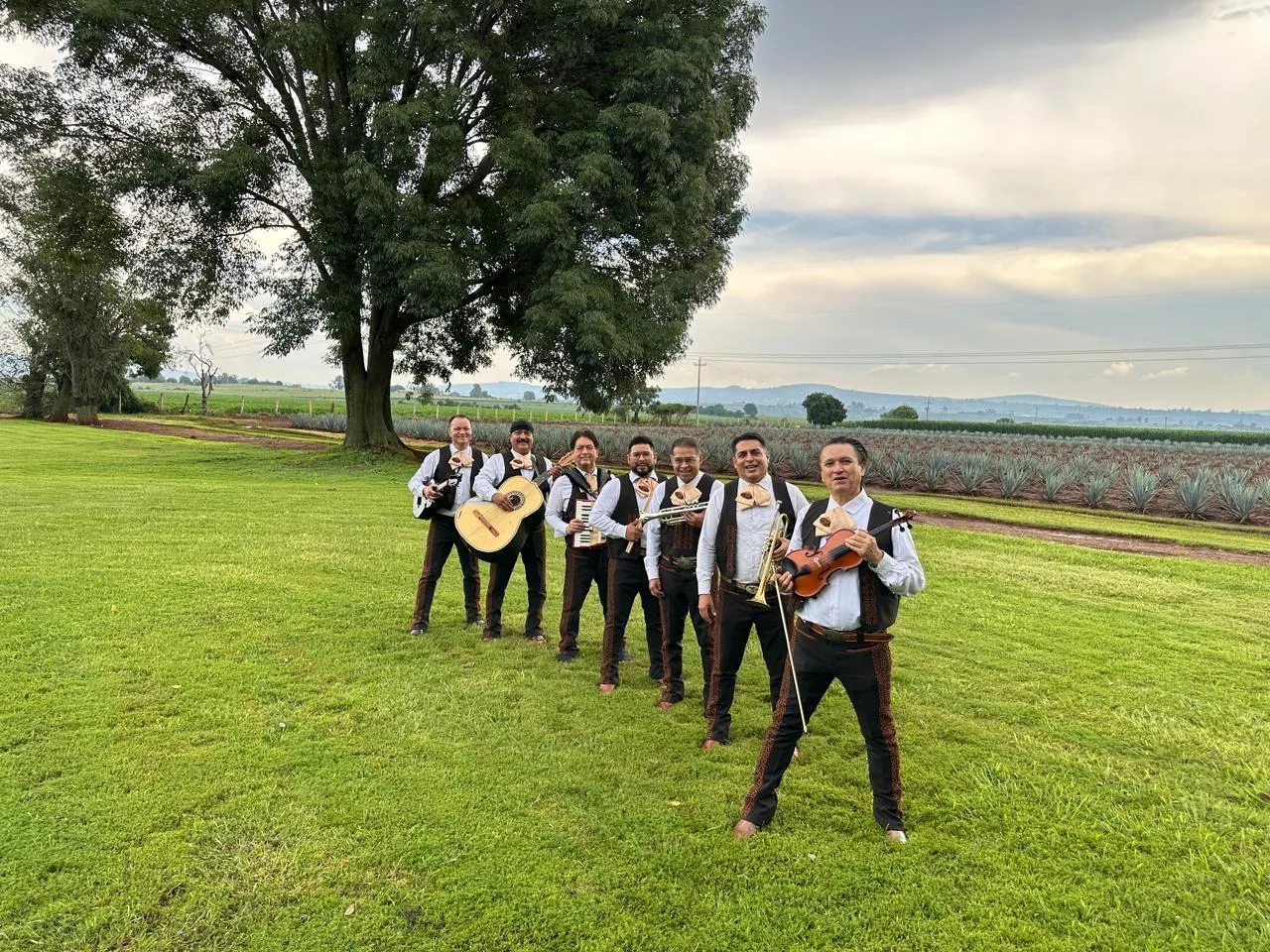 Los Ajua en vivo
